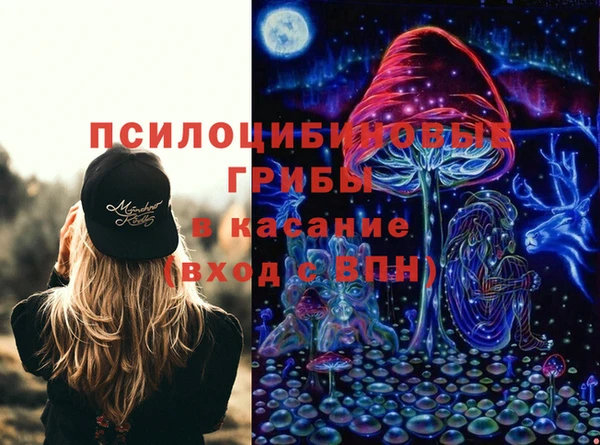 твердый Надым