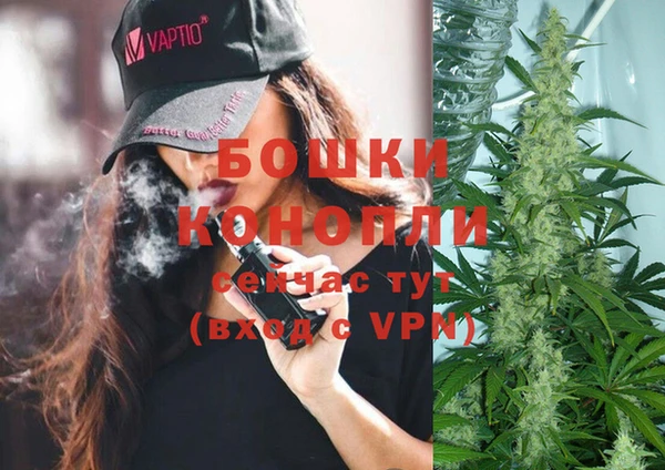 твердый Надым